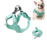 ULTECHNOVO Arnés de Perros No Pull Pet Arnés Cinturón de Pecho Ajustable Y Arnés de Chaleco de Hebilla de Liberación Rápida con Correa para Perros Pequeños Y (XXS)