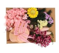 ULTECHNOVO Bolsa de Flores Secas Reales para Manualidades DIY Material para Hacer a Mano Flores Inmortalidad Kit de Secas para Decoración del Hogar y Accesorios de Bricolaje Adecuado para