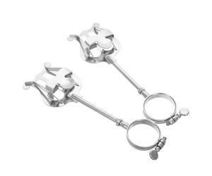 ULTECHNOVO Clip de Fijación Diseño Portátil y Ajustable en Hierro Plata Paquete de 2 Piezas para Partituras de Lira de Clarinete para Práctica y Actuación