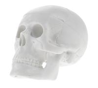 ULTECHNOVO de Cráneo Realista para Enseñanza y Decoración Detalles Precisos para Estudio de Anatomía para Escritorio y Exhibición