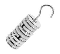 ULTECHNOVO Juego de Masas Ranuradas de Metal Colgador, 100 G Total para Equilibrar Equipos en Laboratorio y Prácticas Científicas