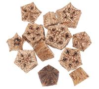 ULTECHNOVO Juguetes para Masticar y Buscar Alimento para Loros y Periquitos, Set de 12 Piezas de Frutos Secos Naturales para Jaula, Ideales para Aves Pequeñas en Casa