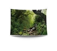 Ulticool - Bosque lluvioso Naturaleza Eco Plantas Cascada - Póster de Tapiz - 200 x 150 cm - Póster de Jardín - Tapiz Grande - Accesorio Decoración para Jardín y Salón