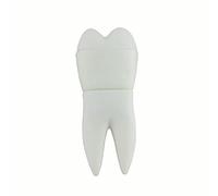Ulticool - Muela del Juicio 16 GB Dentista Dental - Dentist - Memoria Almacenamiento de Datos - USB Flash Pen Drive Memory Stick - Blanco
