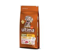 Ultima Pienso para Perros Medium-Maxi Adulto con Buey - 12 kg