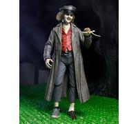 Ultimate Beetlejuice “The Bio-Exorcist” Tour Guide