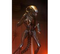 NECA Ultimate scorched Xenomorph Scale Action Fig. 23 cm Alien: Romulus