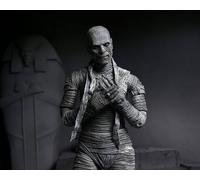 Ultimate The Mummy (Black & White). Universal Monsters