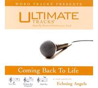 Ultimate Tracks - Coming Back to Life