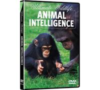 Ultimate Wildlife: Animal Intelligence [USA] [DVD]