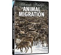 Ultimate Wildlife: Animal Migration [USA] [DVD]