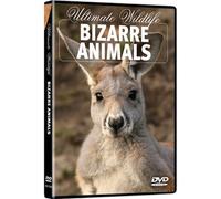 Ultimate Wildlife: Bizarre Animals [USA] [DVD]