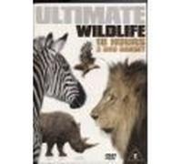 Ultimate Wildlife [Edizione: Regno Unito] [Italia] [DVD]