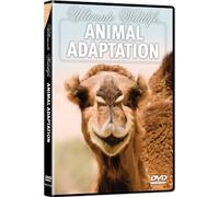 Ultimate Wildlife - Ultimate Wildlife: Animal Adaptation [USA] [DVD]