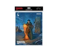 Ultra-Pro 194590 Accesorios Dungeons & Dragons Class Folio Druid, multicolor, 18595