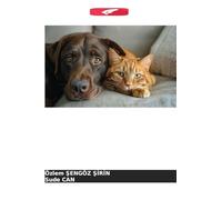 Ultrassonografia oftálmica em gatos e cães