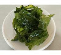 Ulva Lactuca Sea Letture Flakes 500g