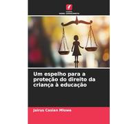 Um espelho para a proteção do direito da criança à educação