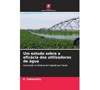 Um estudo sobre a eficácia dos utilizadores de água: Associação no Sistema de Irrigação por Canais