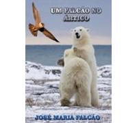 Um Falcão No Ártico (ebook)