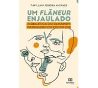 Um Flâneur Enjaulado (ebook)