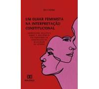 Um Olhar Feminista Na Interpretação Constitucional (ebook)