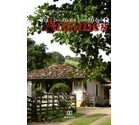 Um Pouco Da História Dos Antunes (ebook)