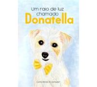 Um Raio De Luz Chamado Donatella (ebook)