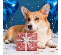 UM UPMALL Regalo Personalizado - Crea un Recuerdo con un Cuadro de Diamantes de tu Foto - Ideal para Bodas, Mascotas y Familia, 60x60 cm