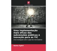 Uma implementação mais eficaz das subvenções públicas à inovação para as YIC: Uma investigação sobre o papel dos intermediários