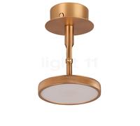 Umage Asteria, Spot LED, latón