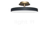 Umage Asteria Up, lámpara de techo LED, antracita - ø31 cm - Ra 94