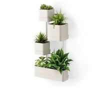 Umbra Cubiko Macetero de Pared, Soporte de Metal geométrico, Arena | Estructura cúbica abierta, para plantas pequeñas y suculentas, uso interior, da verde a paredes vacías