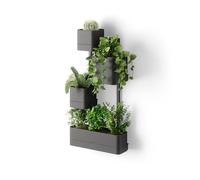 Umbra Cubiko Macetero de Pared, Soporte de Metal geométrico, Negro | Estructura cúbica abierta, para plantas pequeñas y suculentas, uso interior, da verde a paredes vacías