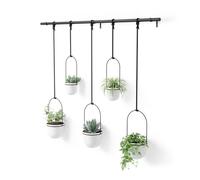Umbra Maceta colgante para suculentas, hierbas y otras plantas pequeñas, color blanco, juego de 5