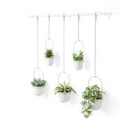 Umbra Triflora Hanging Planter, 5 Maceteros, Blanco/Ottone