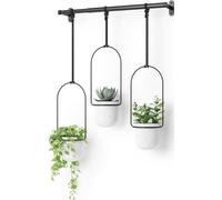 Umbra Triflora Jardinera Colgante, Set de 3, Blanco/Negro | Barra metálica extensible, cuerdas ajustables, para macetas estándar, montaje en pared o techo, soporta 6,8 kg