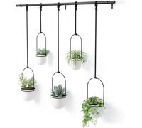 Umbra Maceta colgante para suculentas, hierbas y otras plantas pequeñas, color blanco, juego de 5
