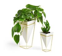 Umbra Trigg recipientes decorativos para mesa, juego de 2, Dolomita, Blanco/Dorado
