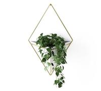 Umbra Trigg Soporte decorativo de pared multifuncional, Dolomita, Blanco/Dorado