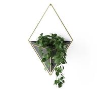 Umbra Trigg Soporte decorativo de pared multifuncional, Dolomita, Negro/Dorado