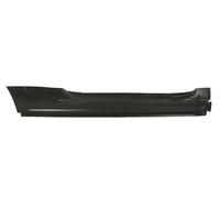 Umbral De Entrada Derecho Compatible Con: CITROEN C2 03.09-09.11