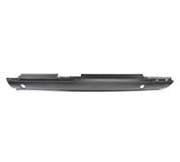 Umbral De Entrada Derecho Compatible Con: MERCEDES S-CLASE W116 08.72-09.80