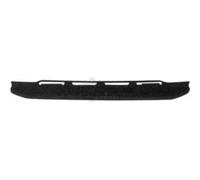 Umbral De Puerta Trasero Compatible Para Iveco Daily IV Furgón/Furgoneta