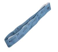 Umbro Bandas de Fitness con 16 Ejercicios - Theraband - Equipo de Fitness para casa - Bandas de terraza para Fitness - Banda elástica - Bandas de Resistencia - Azul