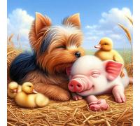 Umfarvt 5D Farm Animals Diamond Painting Kits for Adults Kids,DIY Round Full Drill diamond art painting kits,Canvas Embroidery Diamond Art Craft for Home Wall Decor 20x20cm