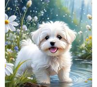 Umfarvt 5D Fluffy Dog Diamond Painting Kits for Adults Kids,DIY Square Full Drill diamond art painting kits,Canvas Embroidery Diamond Art Craft for Home Wall Decor 80x80cm