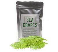 Umibudo Sea Grapes (peso neto: 50 g) - Deliciosas algas de caviar verde - Uvas de mar deshidratadas en salmuera (rinde 1/2 libra una vez empapadas)