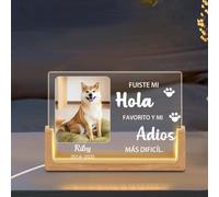 Umitive Luz Nocturna Personalizada para Perros - Lámpara LED con Foto y Nombre de Mascota, Diseño de Corazón y Huellas, Regalo Conmemorativo para Dueños de Perros con Fechas (Style D)
