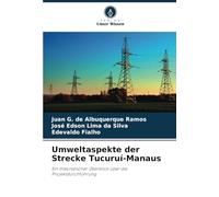 Umweltaspekte der Strecke Tucuruí-Manaus: Ein theoretischer Überblick über die Projektdurchführung